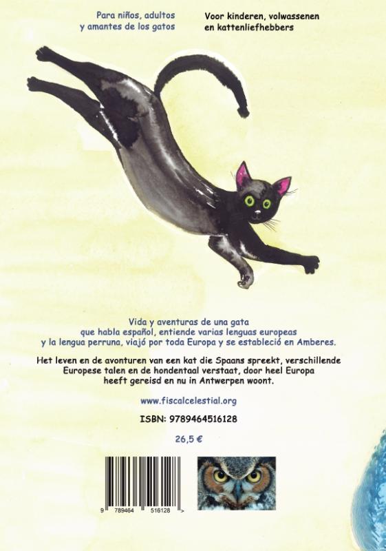 Achterkant van CLEO