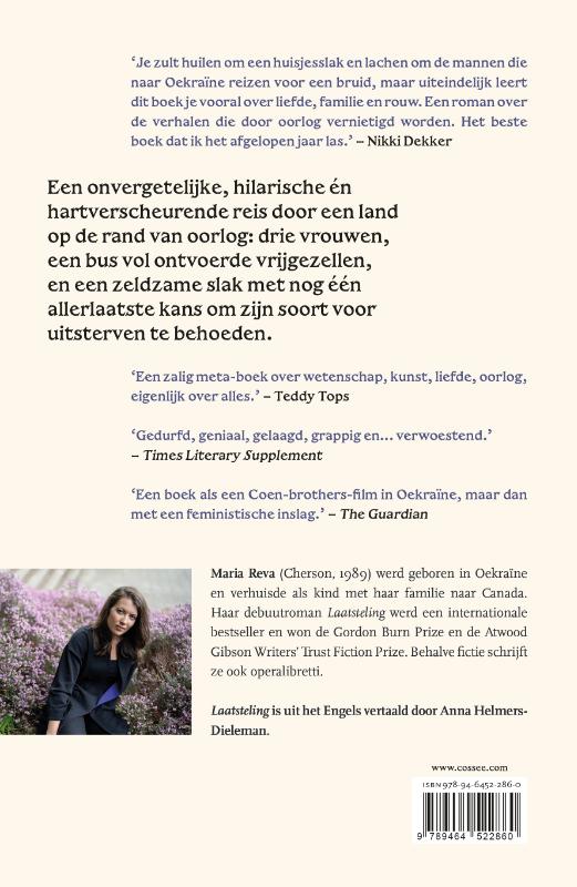 Achterkant van Laatsteling