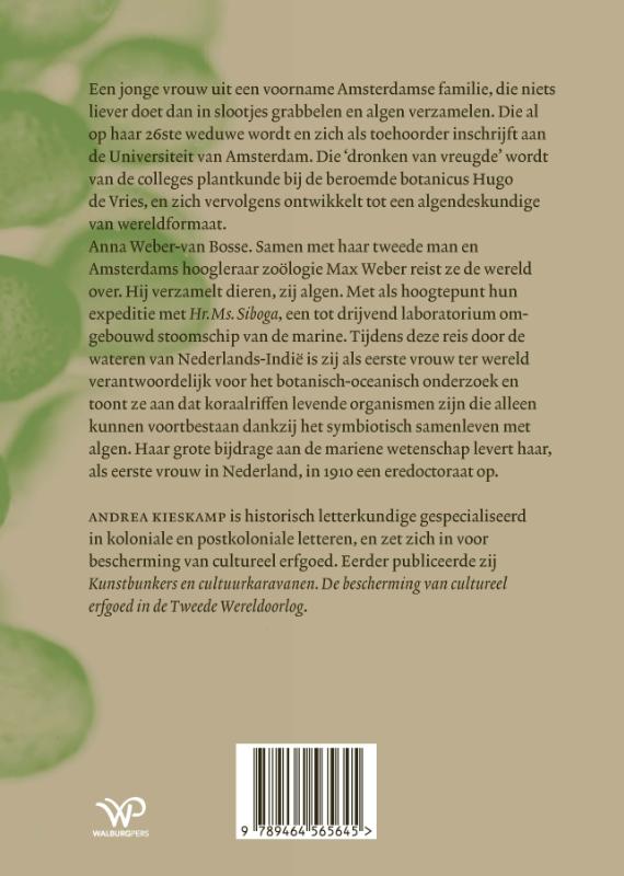 Achterkant van In lange rok de koraalriffen op