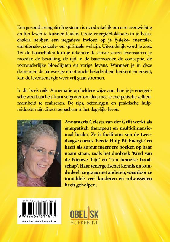 Achterkant van Eerste hulp bij Energie