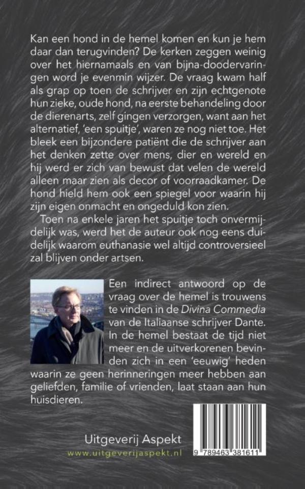 Achterkant van De Spiegel