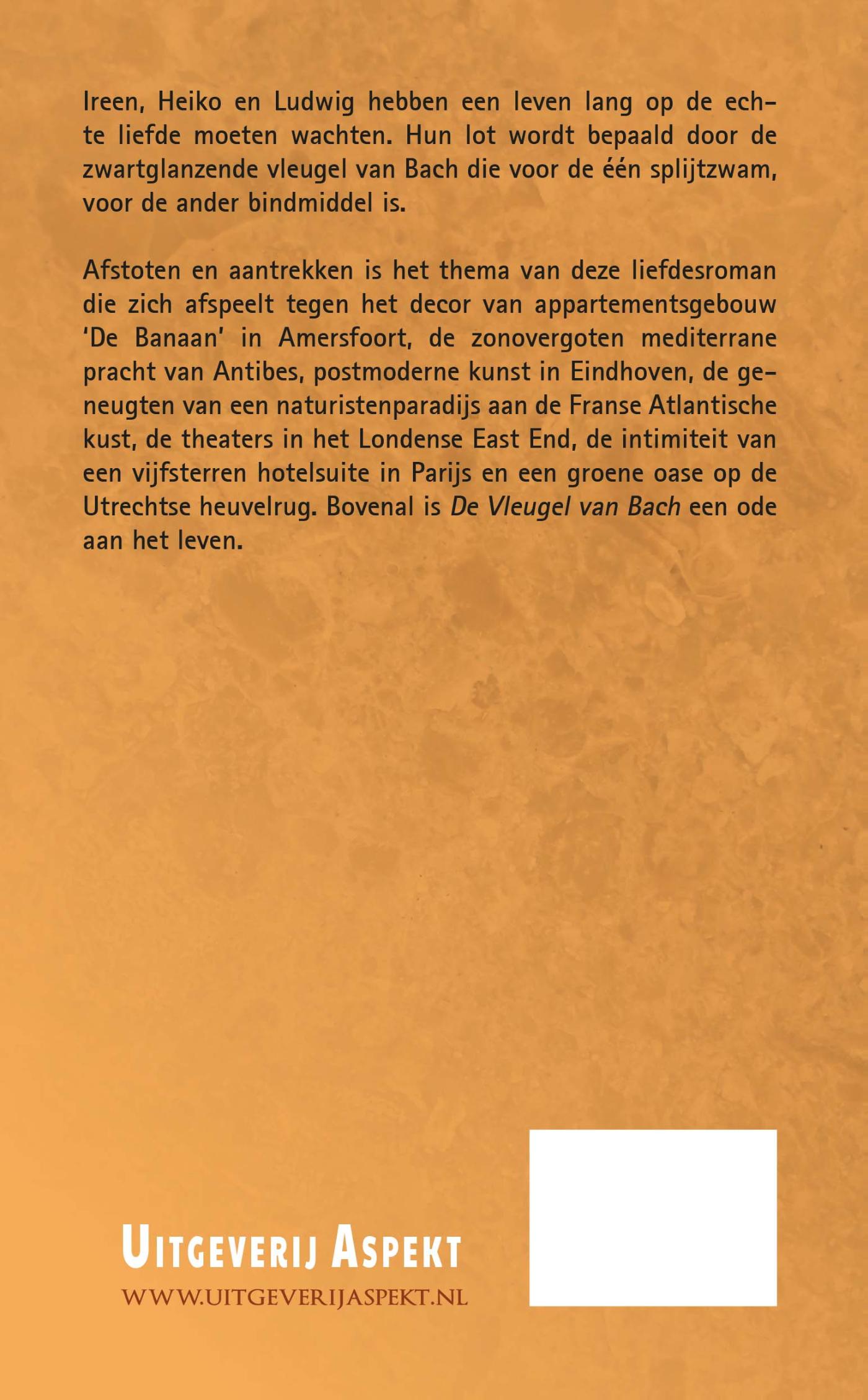 Achterkant van De Vleugel van Bach