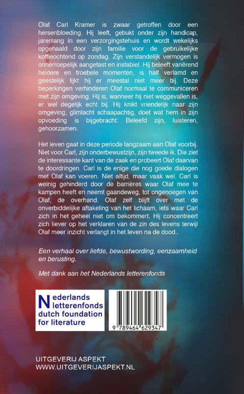 Achterkant van Hersenflitsen