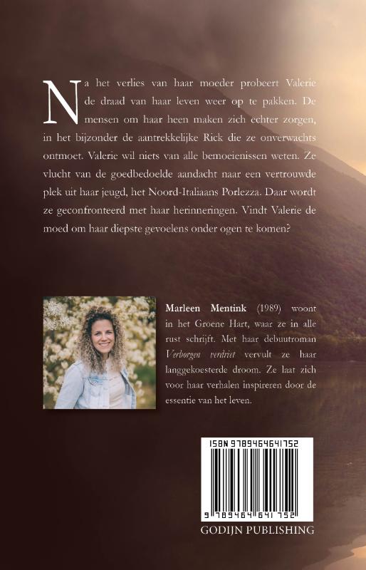 Achterkant van Verborgen verdriet