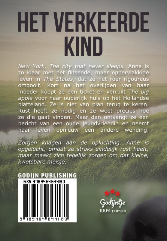 Achterkant van Het verkeerde kind