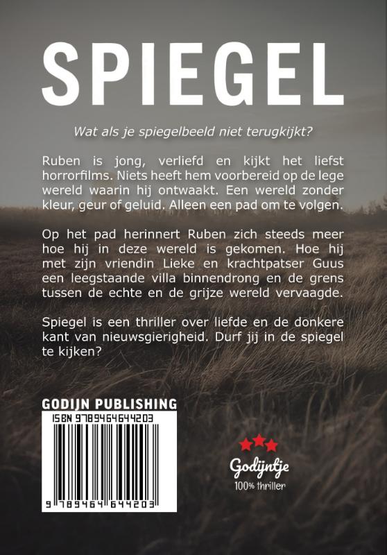 Achterkant van Spiegel