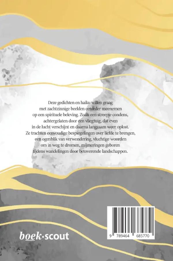 Achterkant van Vervlogen condens