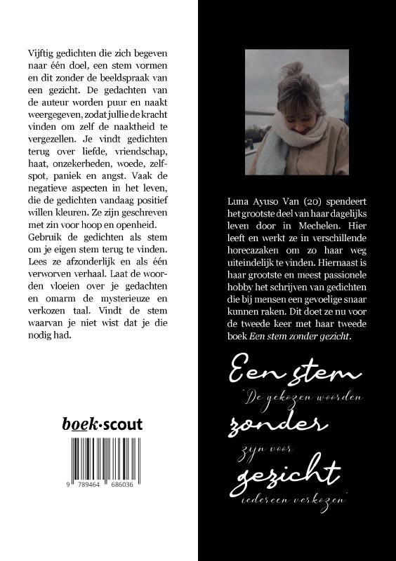Achterkant van Een stem zonder gezicht