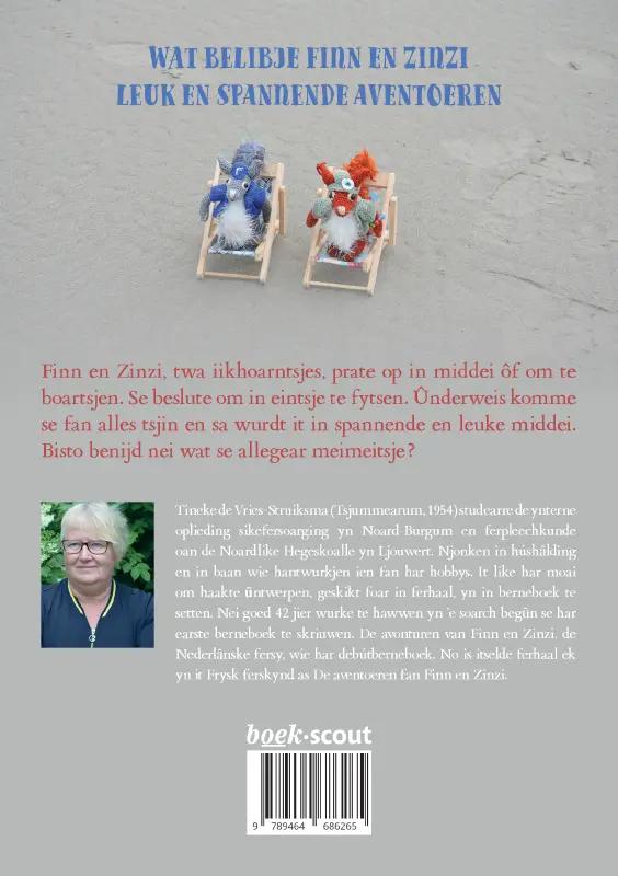 Achterkant van De aventoeren fan Finn en Zinzi