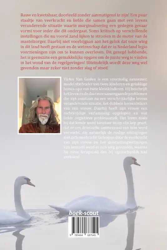 Achterkant van Zwanenpaar