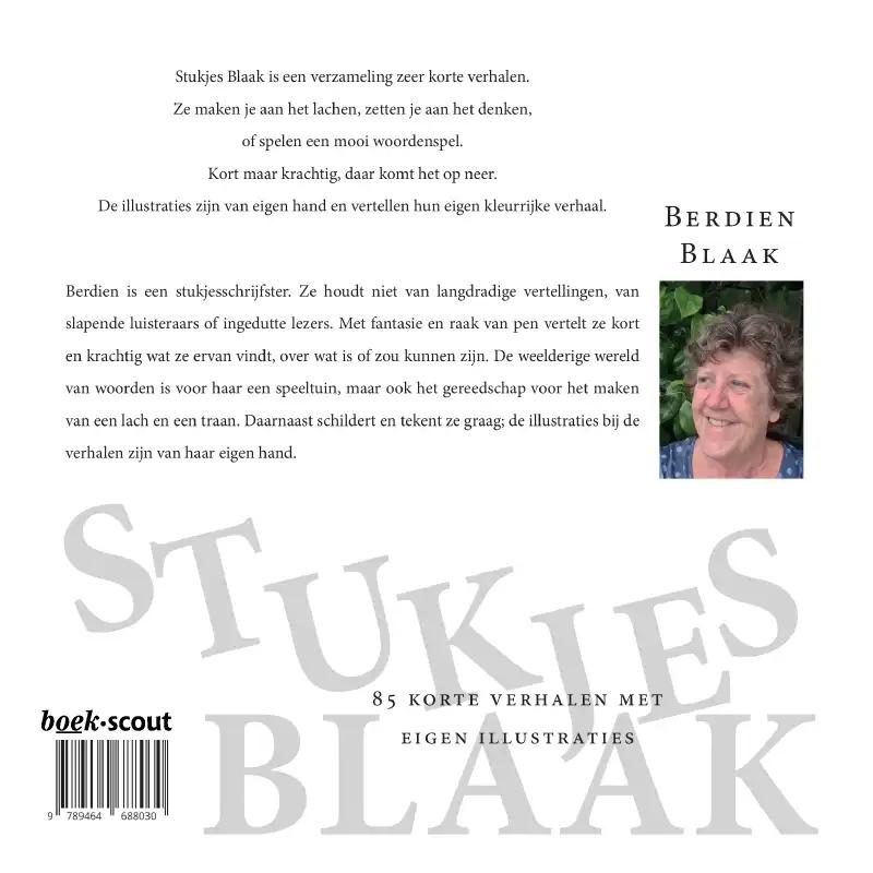Achterkant van Stukjes Blaak