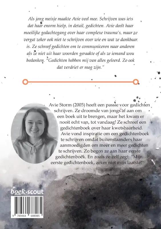 Achterkant van Het meisje zonder verhaal