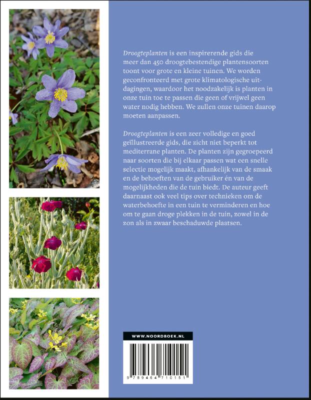 Achterkant van Droogteplanten