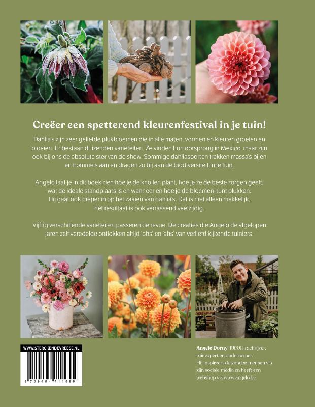 Achterkant van Dahlia