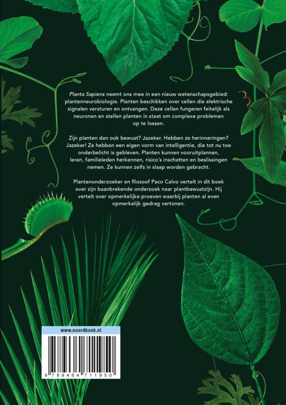 Achterkant van Planta Sapiens