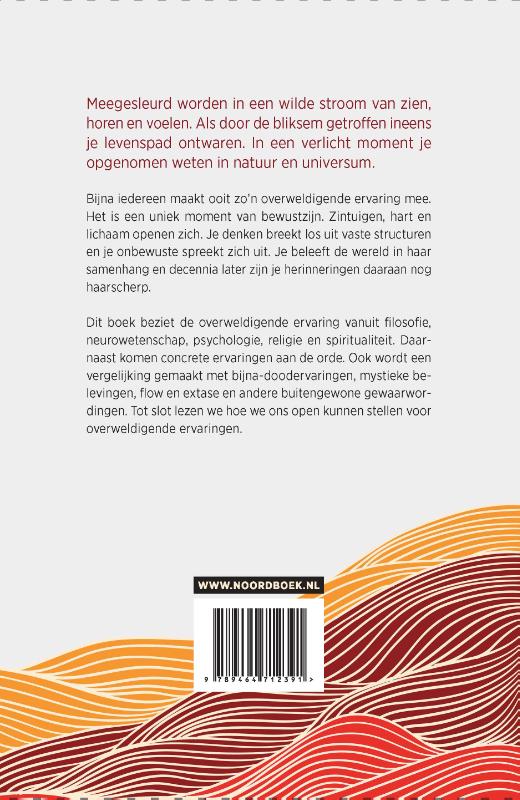 Achterkant van Openstaan voor overweldigende ervaringen