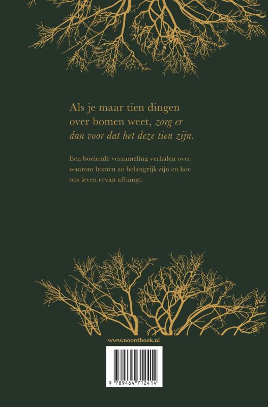 Achterkant van Bomen