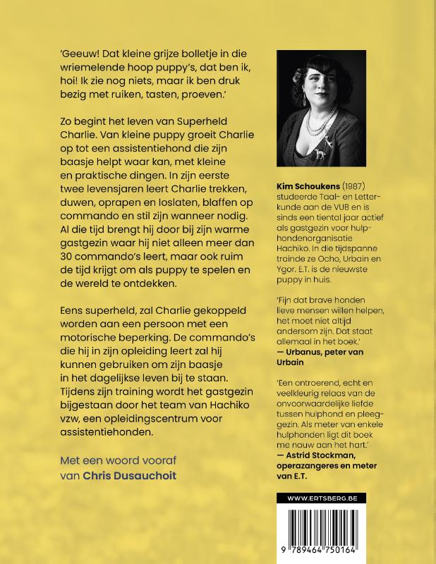 Achterkant van Superheld