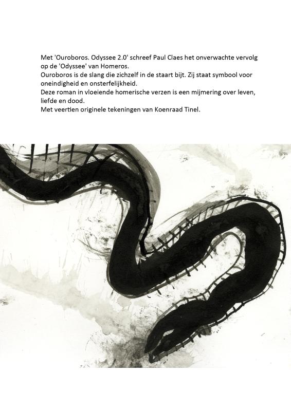 Achterkant van Ouroboros