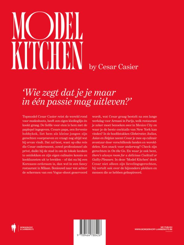 Achterkant van Model Kitchen