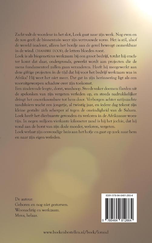 Achterkant van Verdwenen in alles