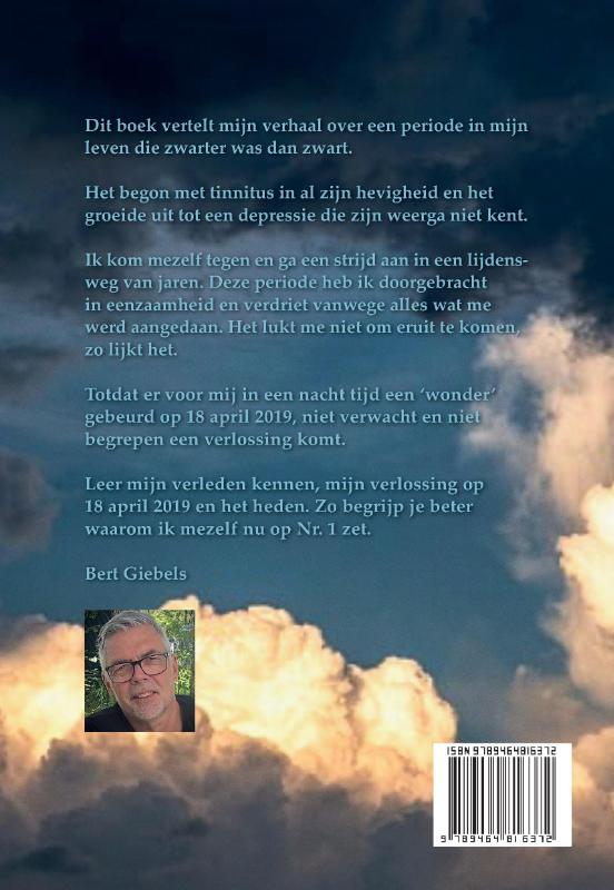 Achterkant van Tinnitus de hel of verlossing