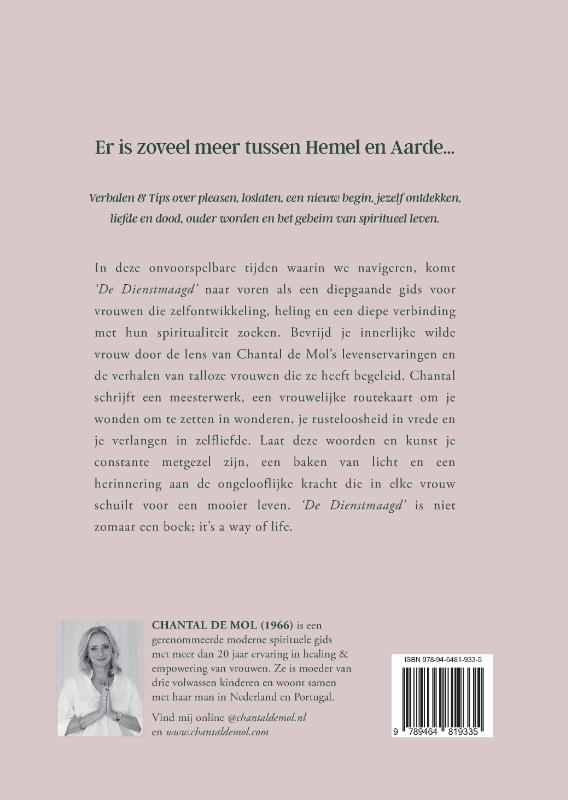 Achterkant van De Dienstmaagd