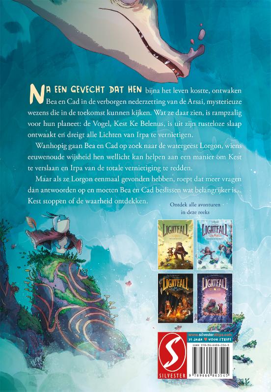 Achterkant van Schaduw van de Vogel