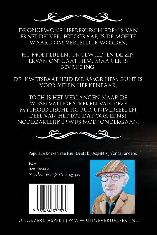 Achterkant van Verminkt geluk