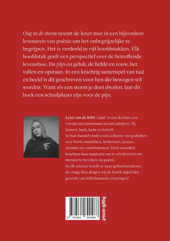 Achterkant van Oog in de storm
