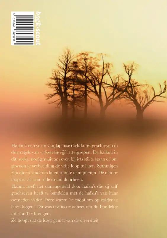 Achterkant van Van zolder gehaald