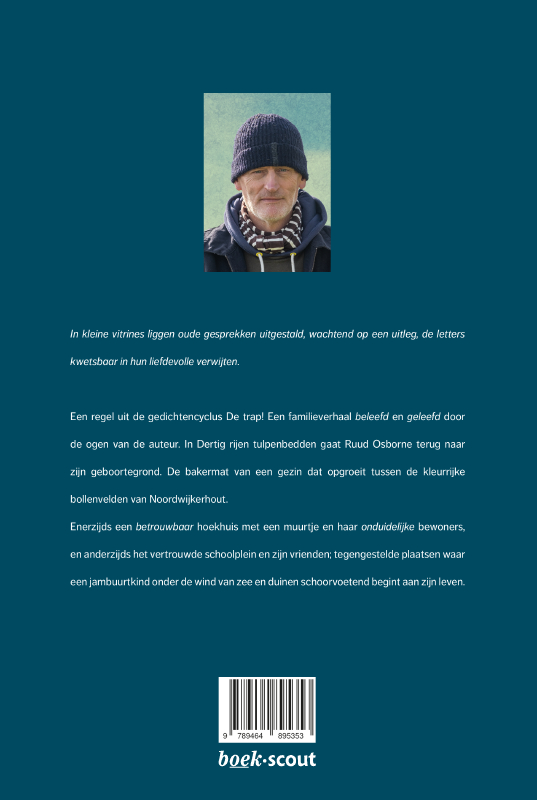 Achterkant van Dertig rijen tulpenbedden