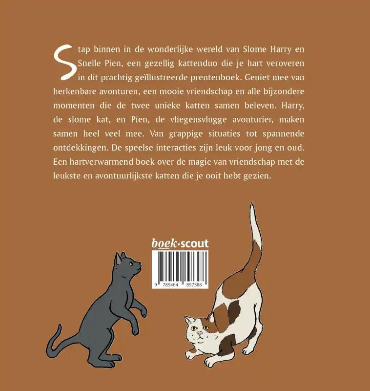 Achterkant van De avonturen van Slome Harry & Snelle Pien