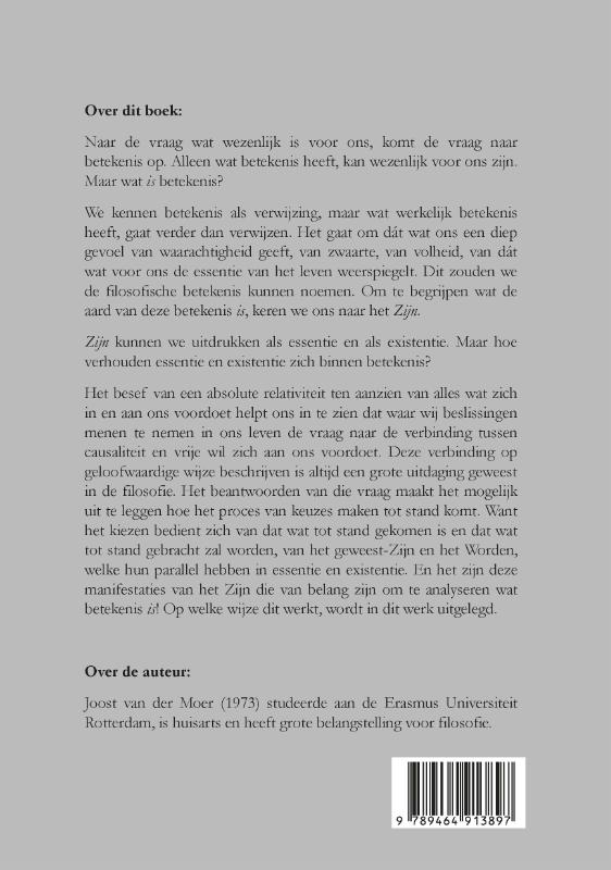 Achterkant van Betekenis als synthese van Zijn en Worden