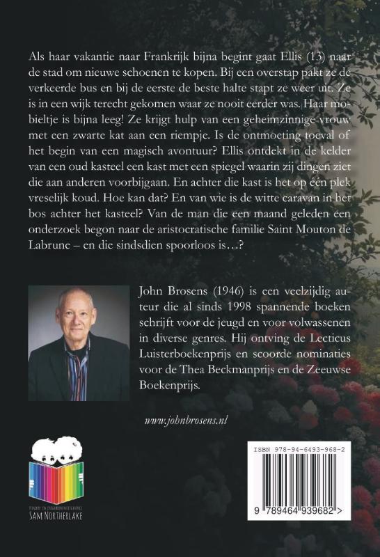 Achterkant van Ellis en de Spiegel van Longatonne