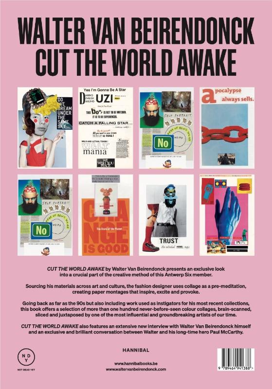 Achterkant van Cut the World Awake
