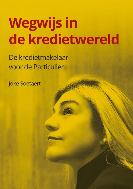 Achterkant van Wegwijs in de kredietwereld