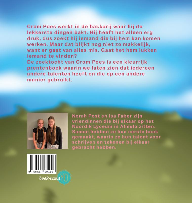 Achterkant van De zoektocht van Crom Poes