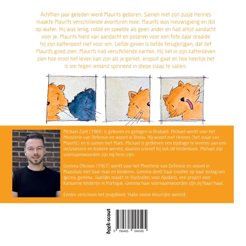 Achterkant van De avonturen van Maurits