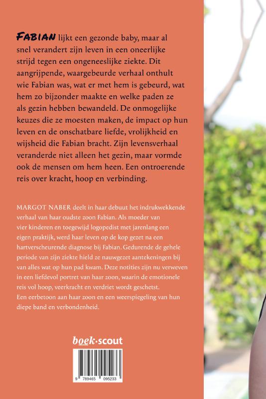 Achterkant van Het verhaal van Fabian