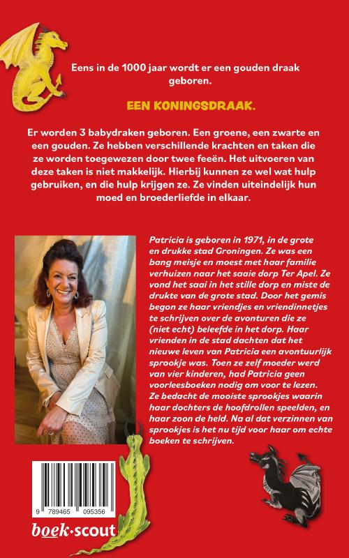 Achterkant van Het samenkomen van de drie magische draakjes