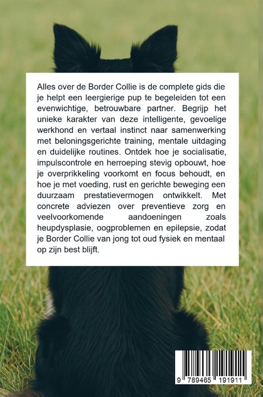 Achterkant van Alles over de Border Collie