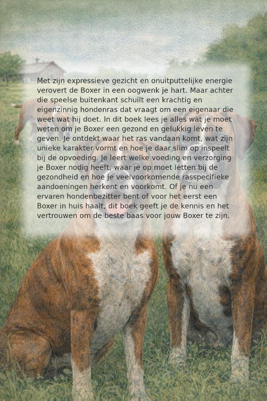 Achterkant van Alles over de Boxer