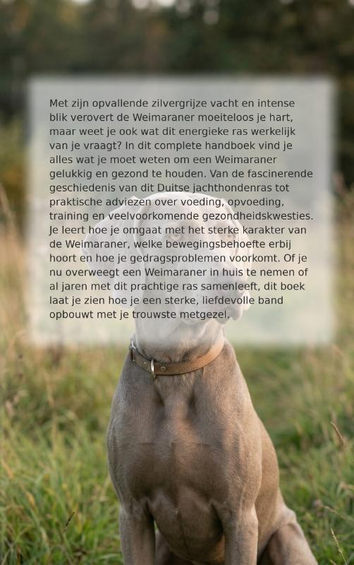 Achterkant van Alles over de Weimaraner