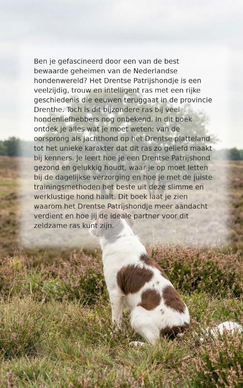 Achterkant van Alles over het Drentse Patrijshondje