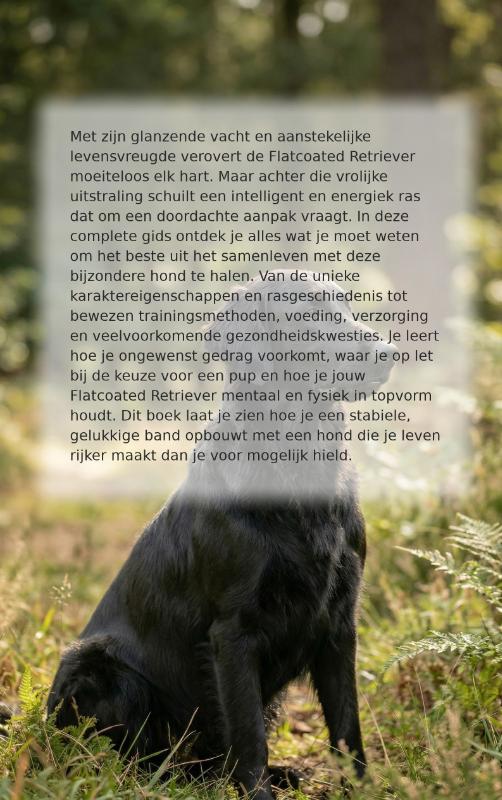 Achterkant van Alles over de Flatcoated Retriever