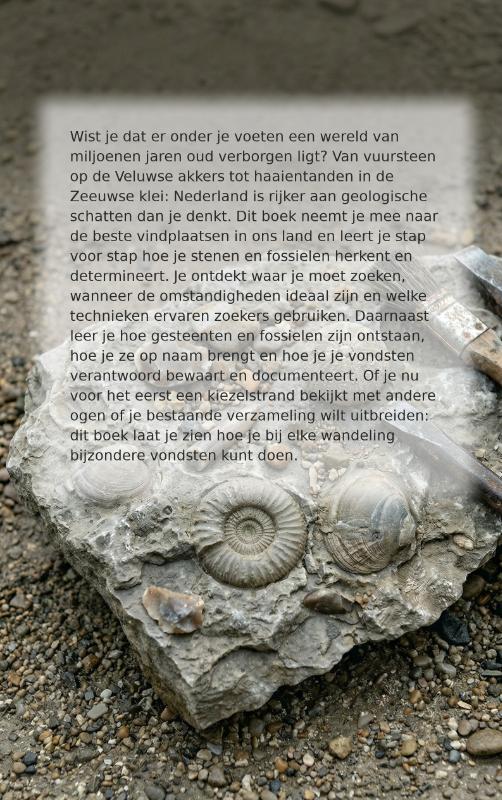 Achterkant van Stenen en Fossielen Zoeken in Nederland
