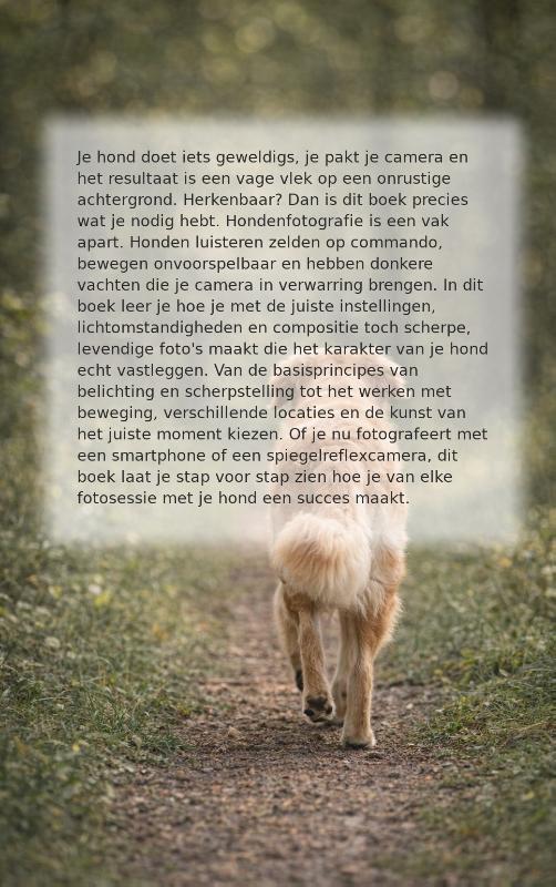 Achterkant van Hondenfotografie