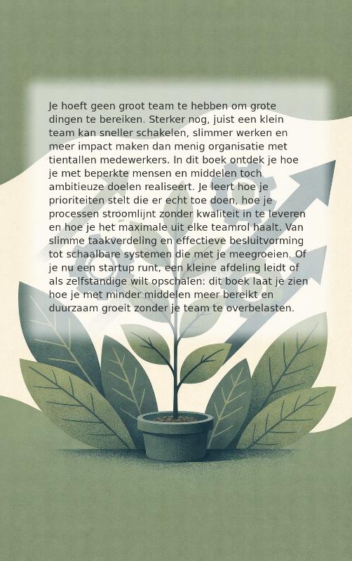 Achterkant van Slim groeien met een klein team