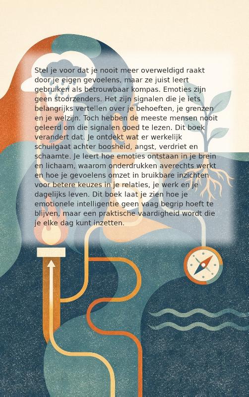 Achterkant van Emoties als informatie